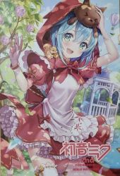 Плакати Hatsune Miku 