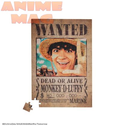 One Piece Wanted Luffy 96pcs