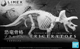 Triceratops Dinosaur Model Kit Limex Skeleton