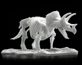 Triceratops Dinosaur Model Kit Limex Skeleton,