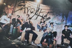 Плакати Stray Kids